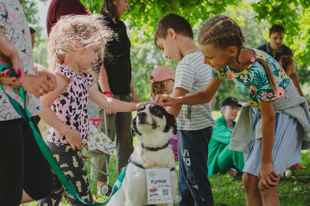 Мы открываем приём заявок на участие животных в фестивале «С собакой — можно!»