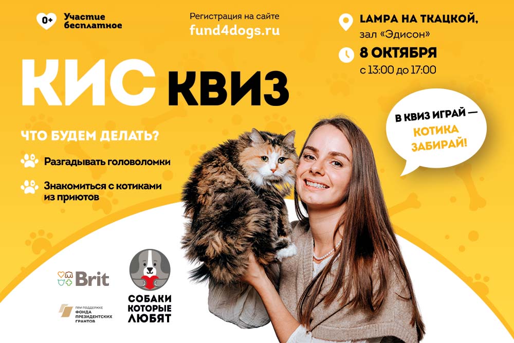 Поиск нового дома для котиков и интеллектуальные развлечения: мероприятие «КисКвиз»