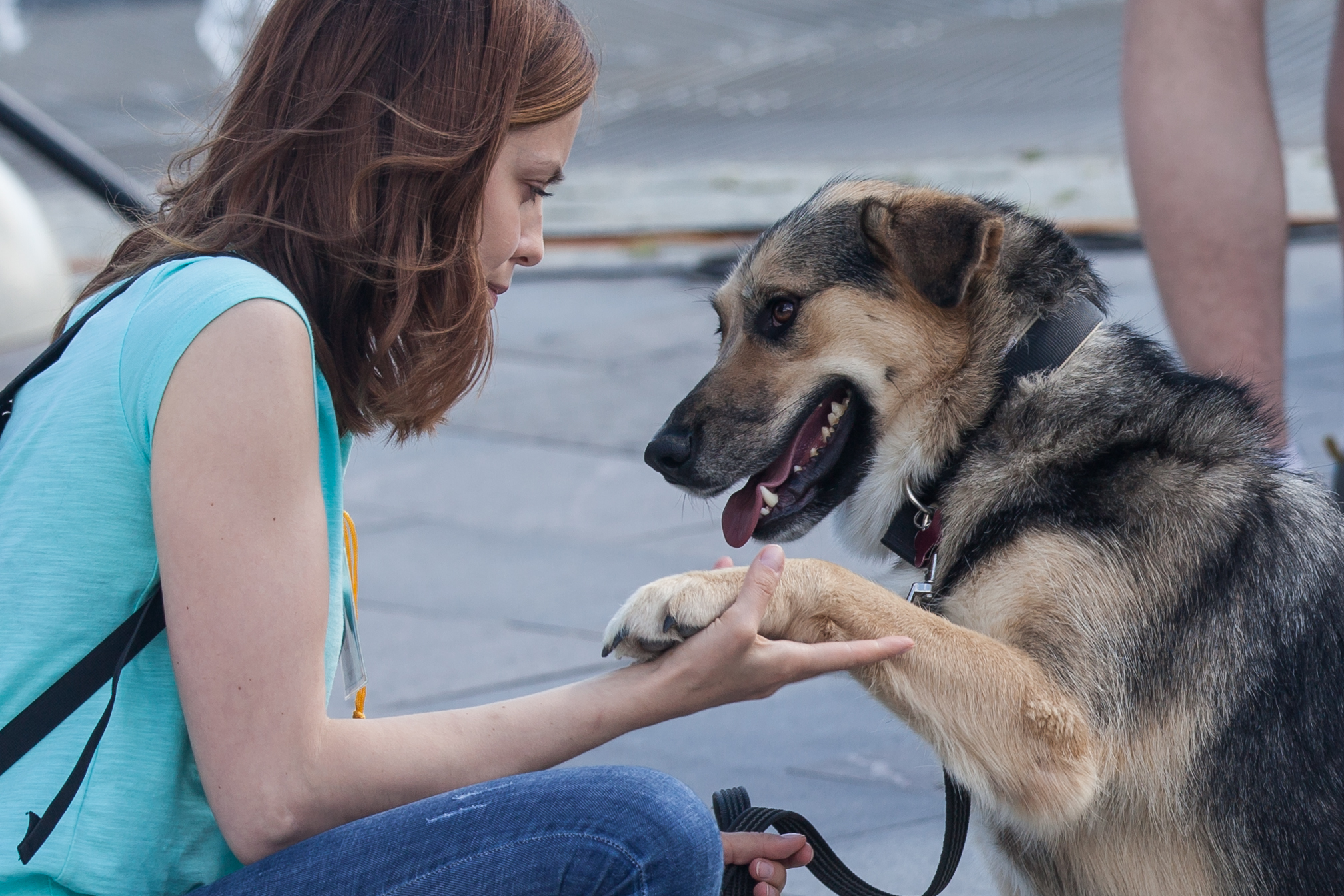 Ветеринар и кинолог на площадке #СобакиКоторыеЛюбят 29 апреля