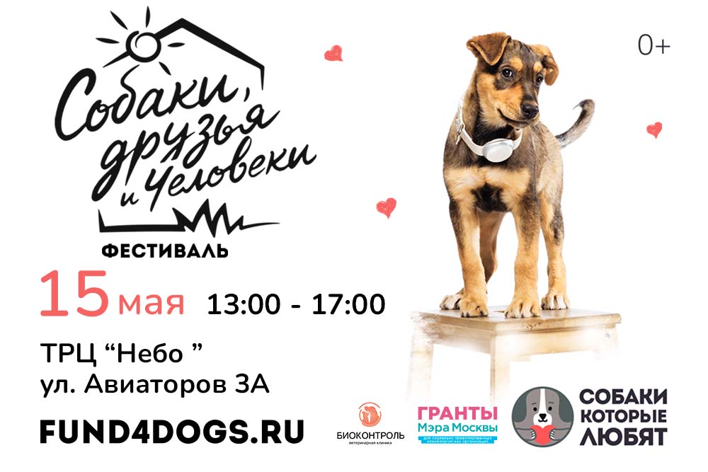 Dog-friendly Фестиваль "Собаки, друзья и человеки" впервые пройдет в Москве 15 мая
