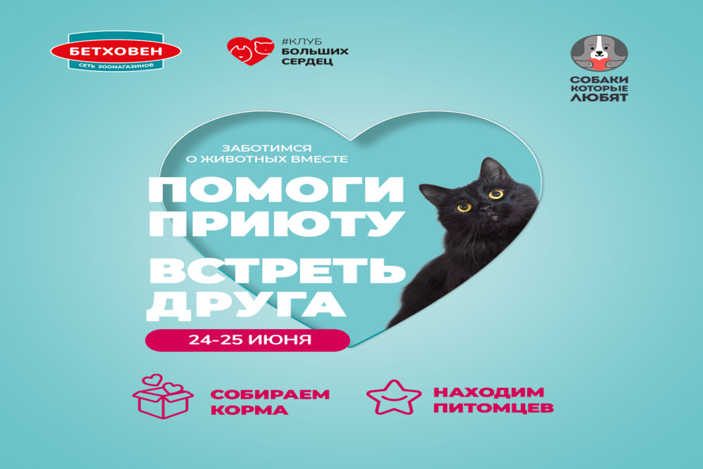 24-25 июня сеть зоомагазинов "Бетховен" проведёт акцию по сбору корма для бездомных животных