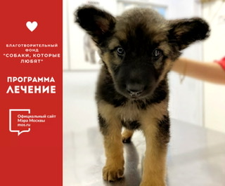 Благотворительные пожертвования на mos.ru в пользу нашего фонда